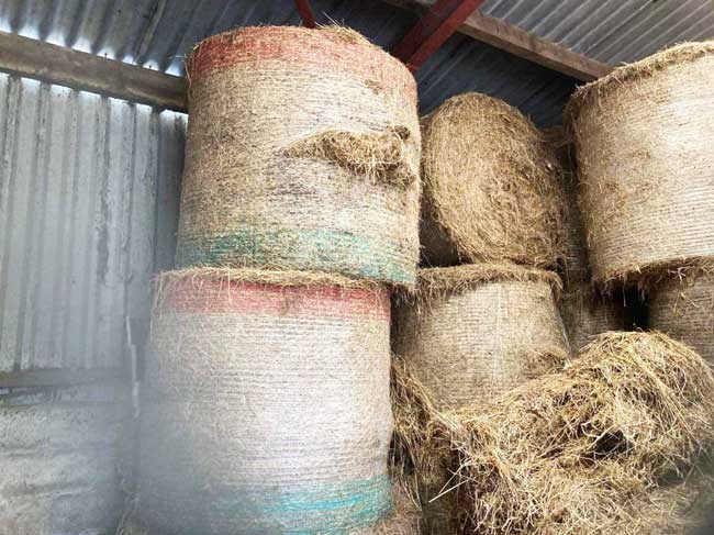 Vermin and rat control for bale damage North East