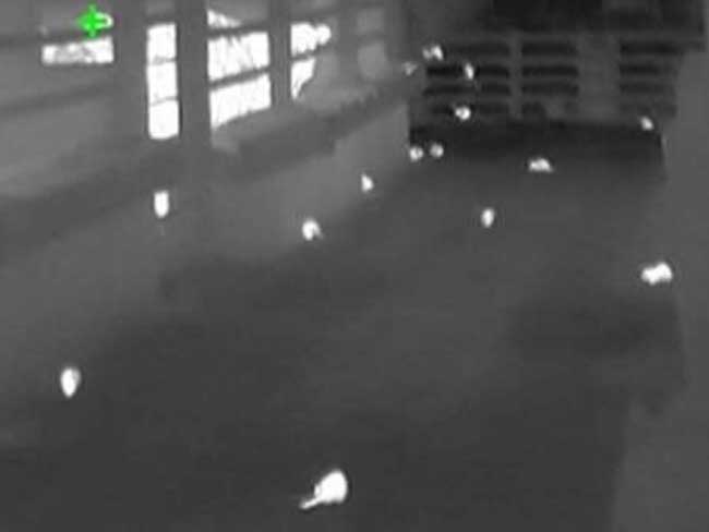 rat control for farms in the North East